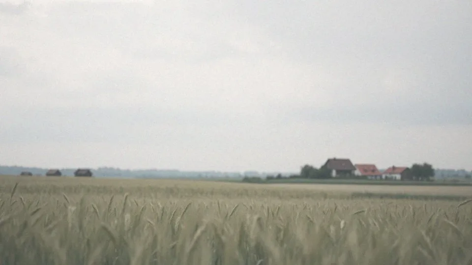 Cud nad Wisłą – o co chodzi w Bitwie Warszawskiej z 1920 roku?