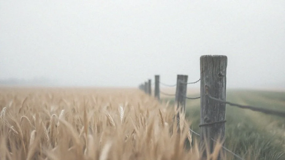 Czy laserowa korekcja wzroku jest trwała? Kluczowe informacje