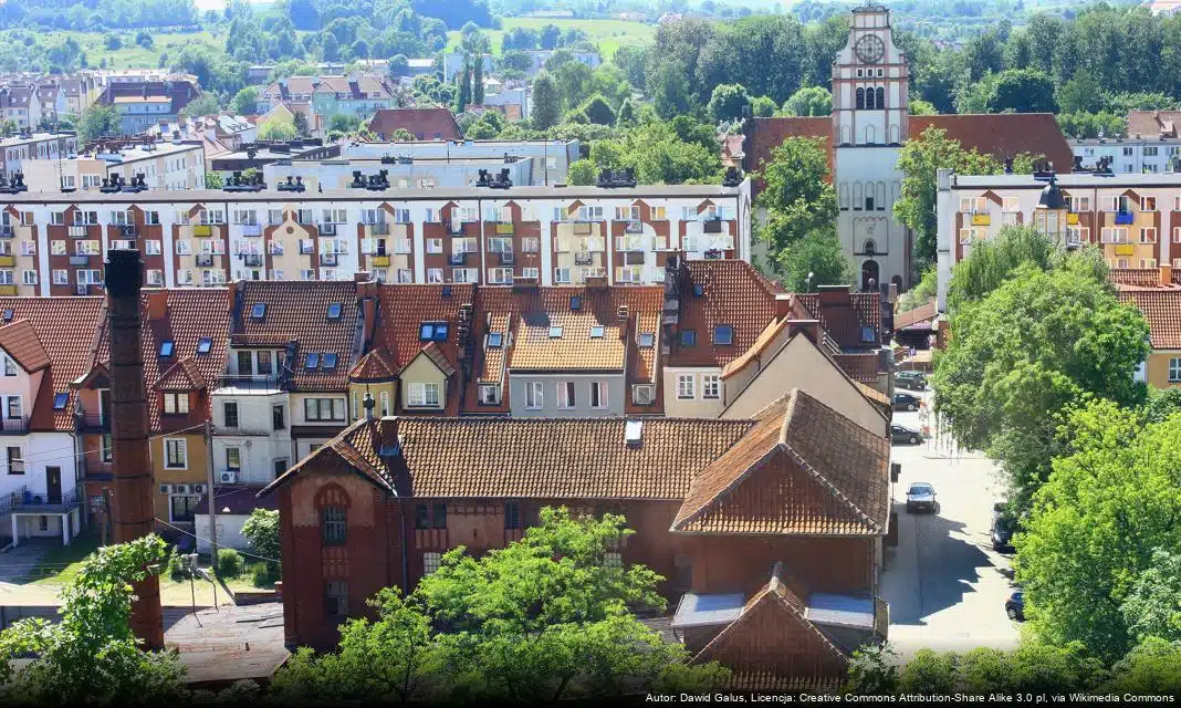 Webinarium CEDUR na temat cyberoszustw – zaproszenie dla mieszkańców Nidzicy